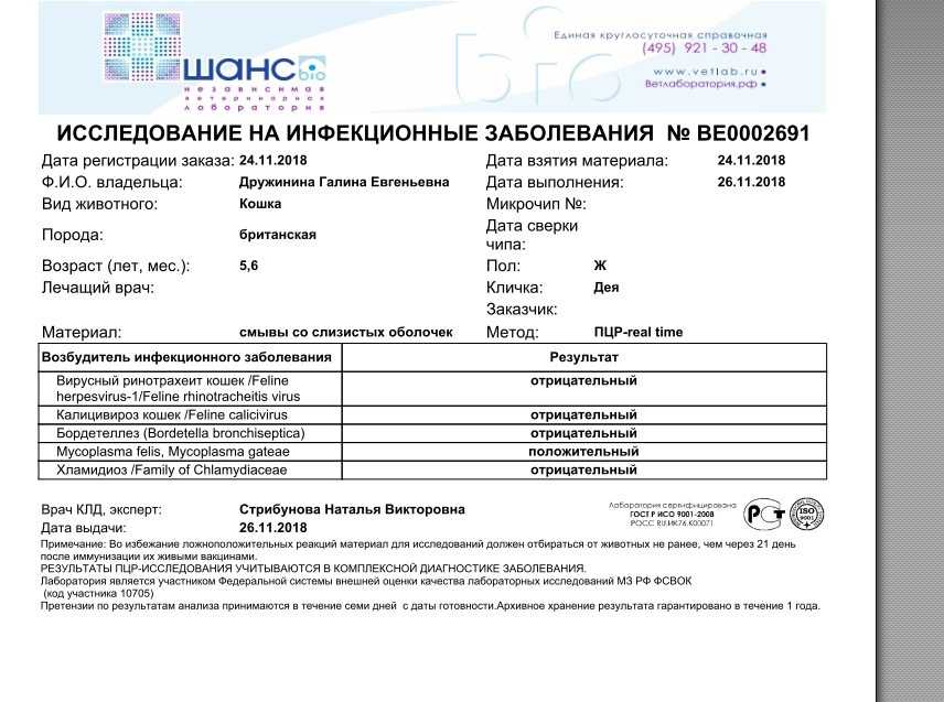 Где искать экспертов, если они срочно нужны