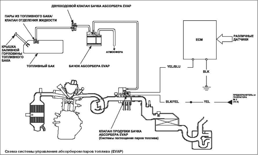 Система улавливания паров бензина и вентиляции бензобака evap