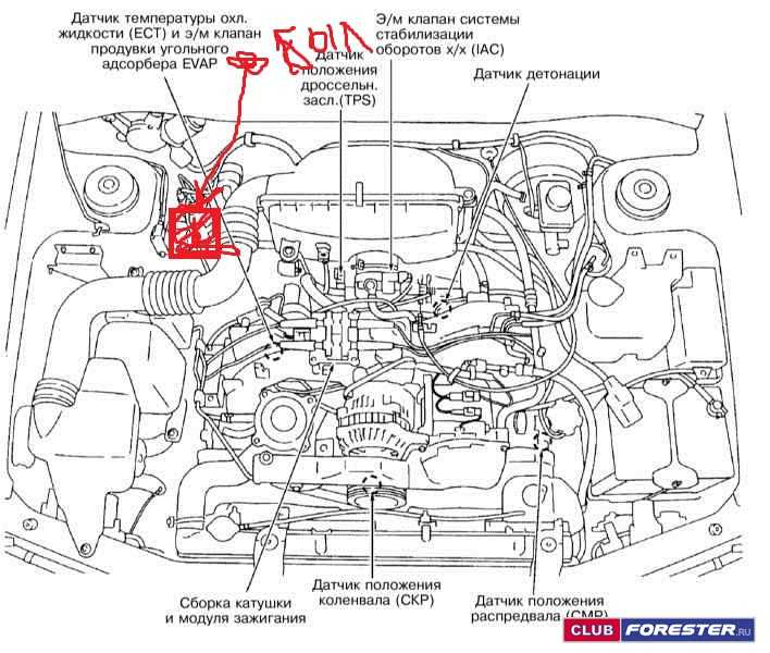 Схема датчиков двигателя