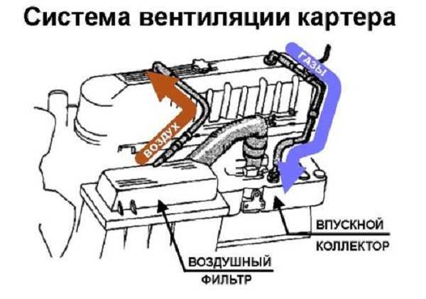 Вентиляция картера: возможные неисправности и их ремонт