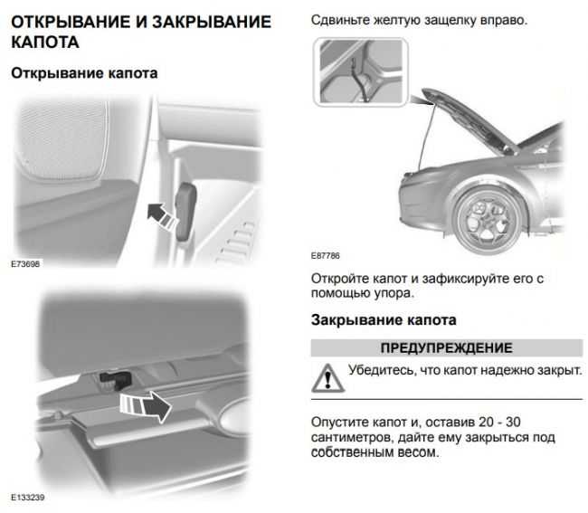 Форд фокус фан