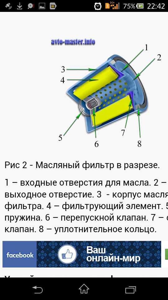 Фильтр масляный в разрезе фото