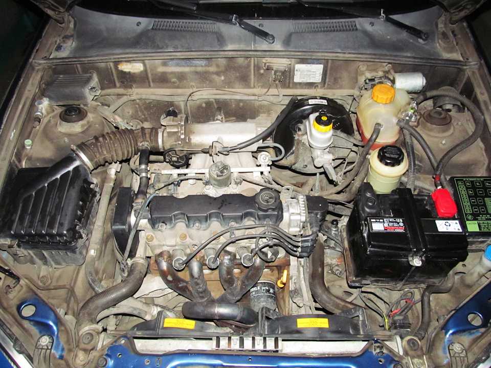 Двигатель Заз Шанс 1.3 Купить Новый
