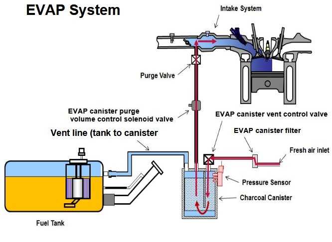 Система улавливания топливных испарений (evap)